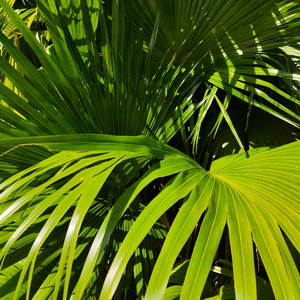 熟女爆乳一区二区三区视频
